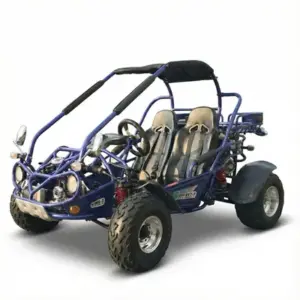 TrailMaster 300E XRX Go-Kart