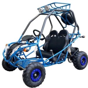 PGO 200GVA Kinder-Benzin-Go-Kart, 6,5 PS 196cc Motor mit E-Start, Automatik-Drehmomentwandler mit Rückwärtsgang, Kinder 7-12 Jahre