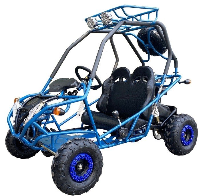 PGO 200GVA Kinder-Benzin-Go-Kart, 6,5 PS 196cc Motor mit E-Start, Automatik-Drehmomentwandler mit Rückwärtsgang, Kinder 7-12 Jahre