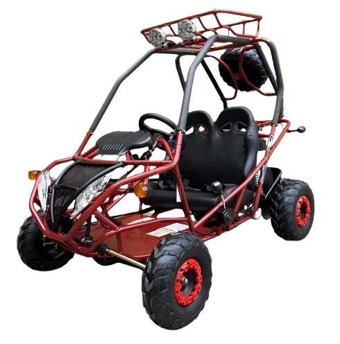 PGO 200GVA Kinder-Benzin-Go-Kart, 6,5 PS 196cc Motor mit E-Start, Automatik-Drehmomentwandler mit Rückwärtsgang, Kinder 7-12 Jahre – Bild 2
