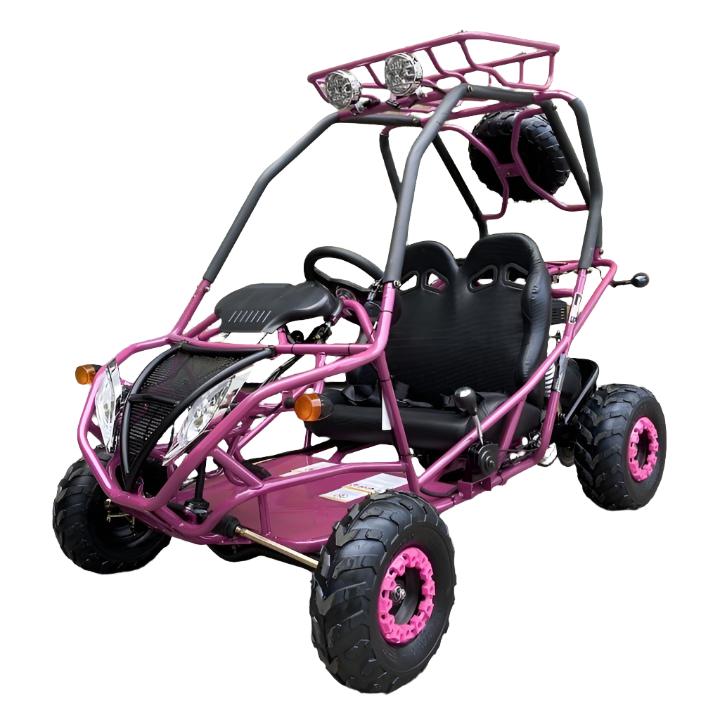 PGO 200GVA Kinder-Benzin-Go-Kart, 6,5 PS 196cc Motor mit E-Start, Automatik-Drehmomentwandler mit Rückwärtsgang, Kinder 7-12 Jahre – Bild 4