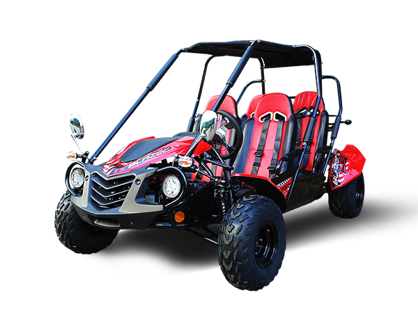 TrailMaster Blazer4 200EX EFI 4-Sitzer Buggy Go-Kart, verlängerte Kabine – Bild 3