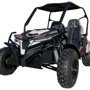 TrailMaster Cheetah 300E EFI UTV Go-Kart, flüssigkeitsgekühlt, CVT-Automatik mit Rückwärtsgang