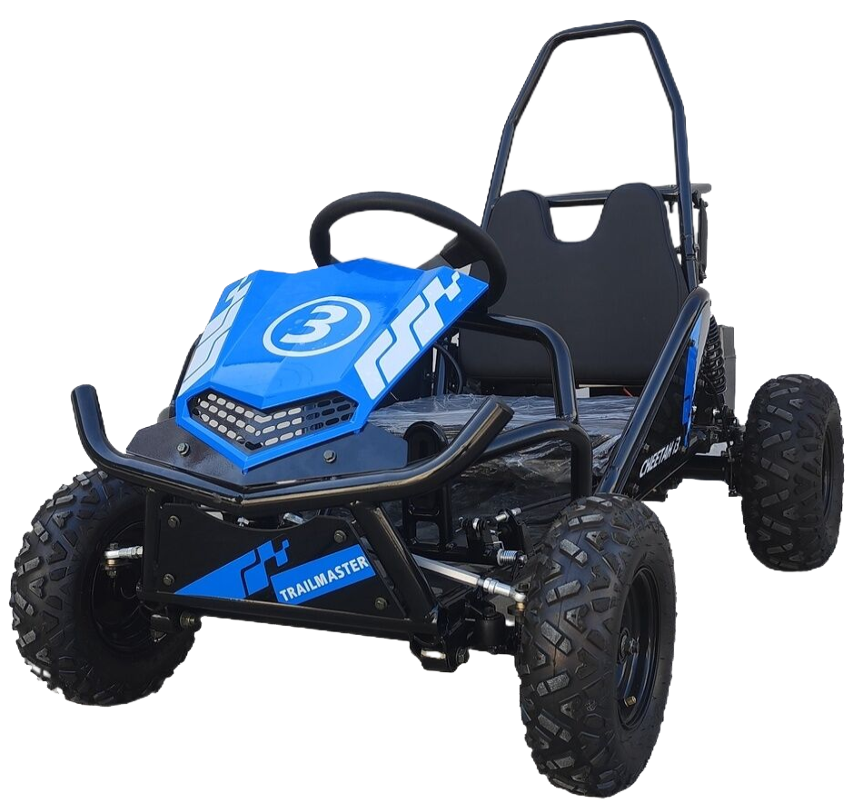TrailMaster Cheetah 3 Kinder-Mini-Go-Kart, 80cc Benzinmotor, Sicherheitsgurt, Kinder 4-9 Jahre