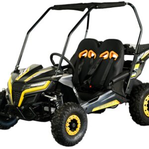 TrailMaster Cheetah-6 Go-Kart, 5,5 PS E-Start, Fernstart/Not-Aus mit Rückwärtsgang, Kinder 4-9 Jahre