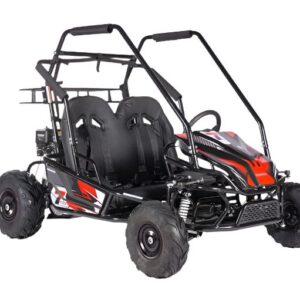 Interceptor XL Mittelklasse Go-Kart, 7 PS 4-Takt Seilzugstart, Automatik, Vollfederung