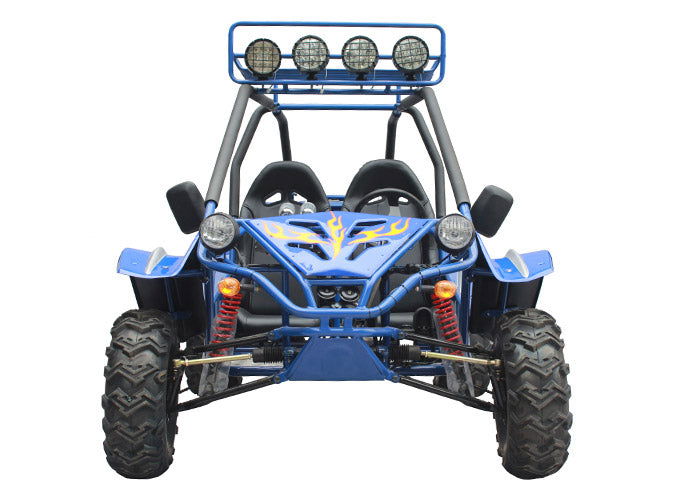 Commander 200 Buggy Go-Kart, E-Start, Automatik mit Rückwärtsgang, ab 16 Jahren – Bild 5