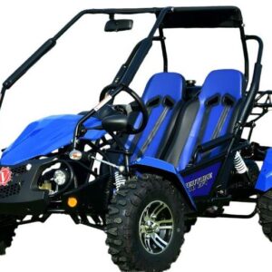 Venture 200 EFI Buggy Go-Kart, E-Start, Automatik mit Rückwärtsgang, ab 16 Jahren