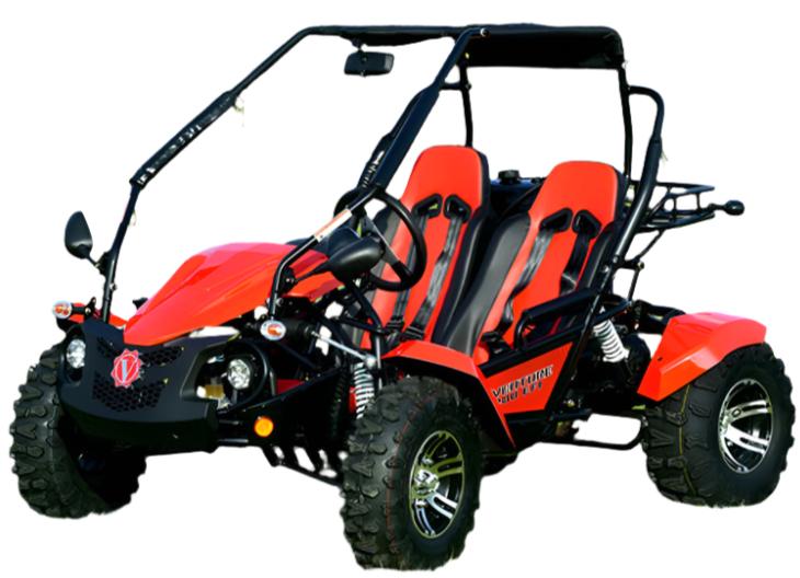 Venture 200 EFI Buggy Go-Kart, E-Start, Automatik mit Rückwärtsgang, ab 16 Jahren – Bild 4