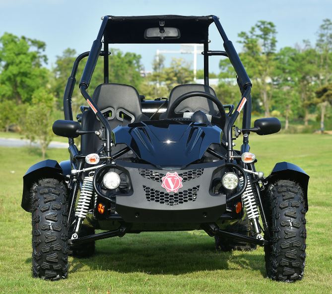 Venture 200 EFI Buggy Go-Kart, E-Start, Automatik mit Rückwärtsgang, ab 16 Jahren – Bild 5