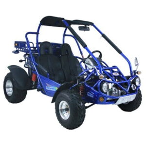 TrailMaster 300 XRX-E Dune Buggy Go-Kart, EFI Einspritzung, flüssigkeitsgekühlt, Kardanantrieb, Alufelgen