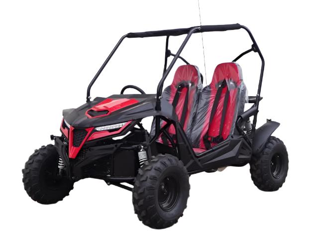 TrailMaster Cheetah 8 Mittelklasse Go-Kart – 7,5 PS, Drehmomentwandler, E-Start, Automatik mit Rückwärtsgang, ab 12 Jahren – Bild 3