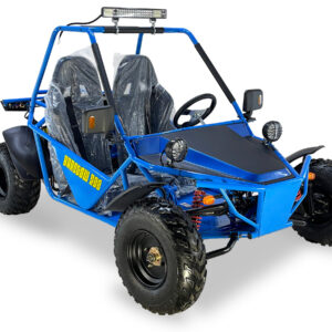Barstow 200 Buggy Go-Kart, Automatik mit Rückwärtsgang, Full-Size, ab 16 Jahren