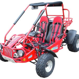 TrailMaster 300E XRS (EFI) Dune Buggy Go-Kart, flüssigkeitsgekühlt, Kettenantrieb