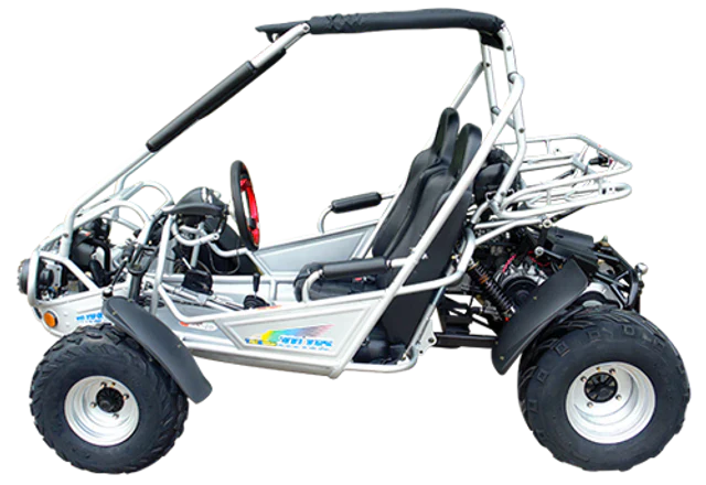 TrailMaster 300E XRS (EFI) Dune Buggy Go-Kart, flüssigkeitsgekühlt, Kettenantrieb – Bild 3