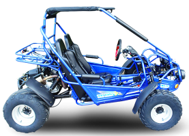 TrailMaster 300E XRS (EFI) Dune Buggy Go-Kart, flüssigkeitsgekühlt, Kettenantrieb – Bild 4