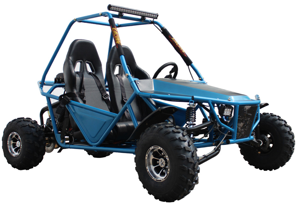 Batman 200 DLX Buggy Go-Kart, E-Start, Automatik mit Rückwärtsgang, 10-Zoll-Alufelgen, ab 16 Jahren – Bild 2