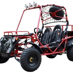 Rancher 200 Buggy Go-Kart, E-Start, Automatik mit Rückwärtsgang, 10-Zoll-Stahlfelgen, ab 16 Jahren