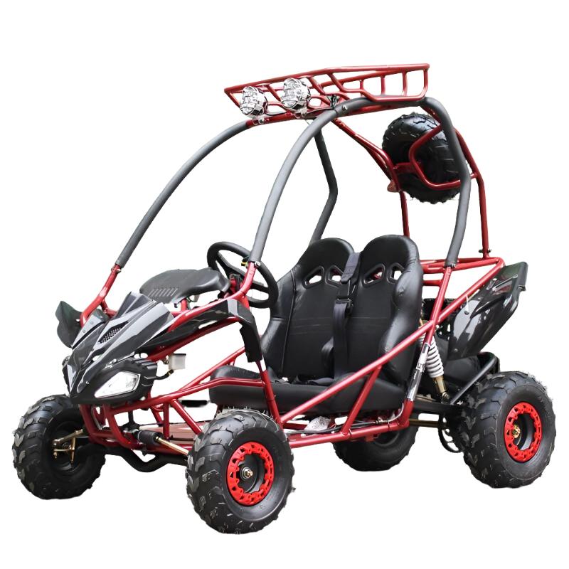 PGO 200GVS Kinder-Benzin-Go-Kart, 6,5 PS 196cc Motor mit E-Start, Automatik-Drehmomentwandler, ab 8 Jahren