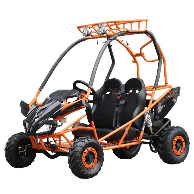 PGO 200GVS Kinder-Benzin-Go-Kart, 6,5 PS 196cc Motor mit E-Start, Automatik-Drehmomentwandler, ab 8 Jahren – Bild 3
