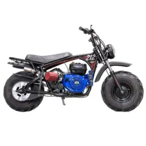 Mega Moto 212 Minibike-Bausatz
