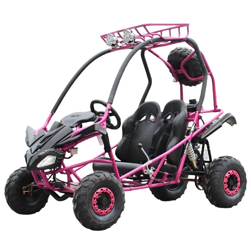Mini Jaguar Kinder-Go-Kart, 125cc Motor mit E-Start, Automatik mit Rückwärtsgang, ab 8 Jahren – Bild 4