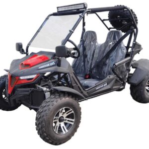 TrailMaster Cheetah 200X Go-Kart (Sondermodell) CVT-Automatik mit Rückwärtsgang, Alufelgen, Windschutzscheibe