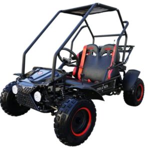 Thing 125cc Kinder-Benzin-Go-Kart, E-Start, Automatik, ab 6 Jahren