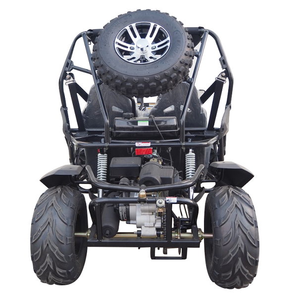 TrailMaster Cheetah 200EX EFI Go-Kart CVT-Automatik mit Rückwärtsgang, Alufelgen, Windschutzscheibe – Bild 4