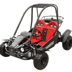 Twister 125cc Kinder-Benzin-Go-Kart, E-Start, Automatik mit Rückwärtsgang, ab 6 Jahren