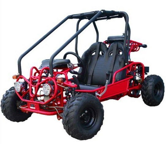 Mini Raptor 125cc Kinder-Benzin-Go-Kart, E-Start, Automatik mit Rückwärtsgang, ab 8 Jahren