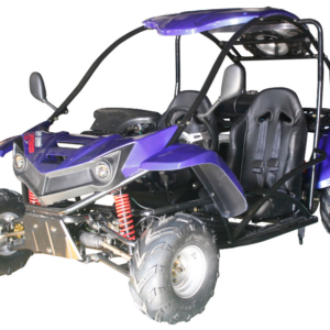 T-REX 125cc Kinder-Benzin-Go-Kart, E-Start, Automatik mit Rückwärtsgang, ab 8 Jahren