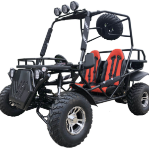 Rancher 200DLX Buggy Go-Kart, E-Start, Automatik mit Rückwärtsgang, 10-Zoll-Deluxe-Alufelgen, ab 16 Jahren