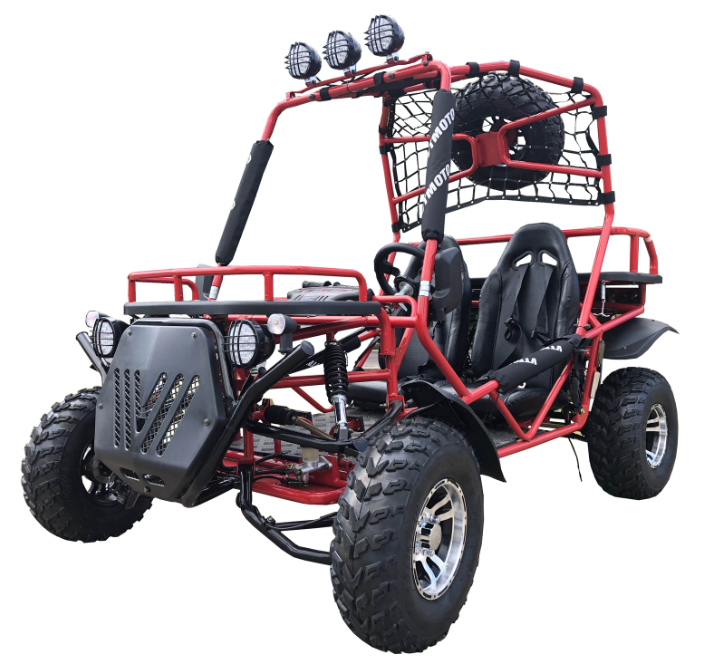 Rancher 200DLX Buggy Go-Kart, E-Start, Automatik mit Rückwärtsgang, 10-Zoll-Deluxe-Alufelgen, ab 16 Jahren – Bild 2
