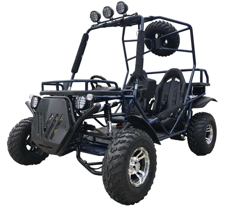 Rancher 200DLX Buggy Go-Kart, E-Start, Automatik mit Rückwärtsgang, 10-Zoll-Deluxe-Alufelgen, ab 16 Jahren – Bild 3