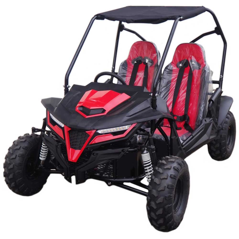 TrailMaster Cheetah 8 Mittelklasse Go-Kart – 7,5 PS, Drehmomentwandler, E-Start, Automatik mit Rückwärtsgang, ab 12 Jahren – Bild 2